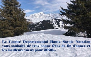 Bonnes fêtes de fin d'année et voeux 2026